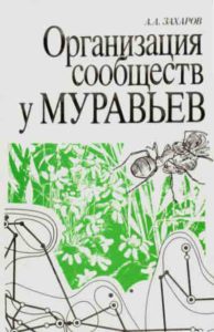 Извилист путь и долог легко ли муравью