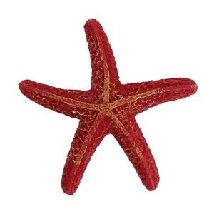 Декорация «Морская звезда»