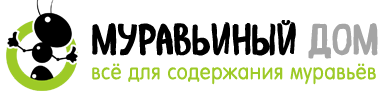 Муравьиный Дом